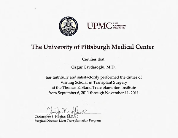UPMC karaciğer nakli gözlemci hekim belgesi