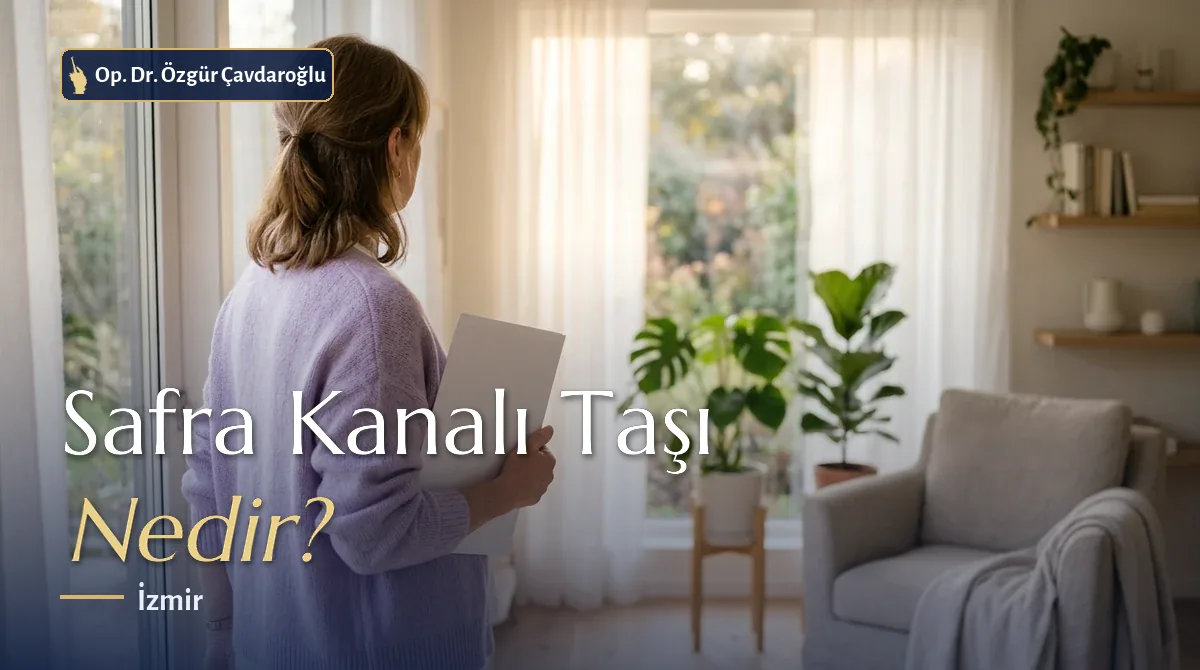 Koledok taşı nedir